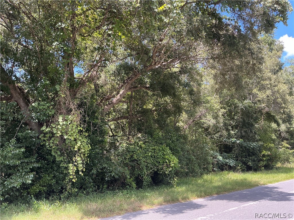 3953 East Sanders Street Inverness, FL 34453 - Photo 4 of 7 Gallery Image 4