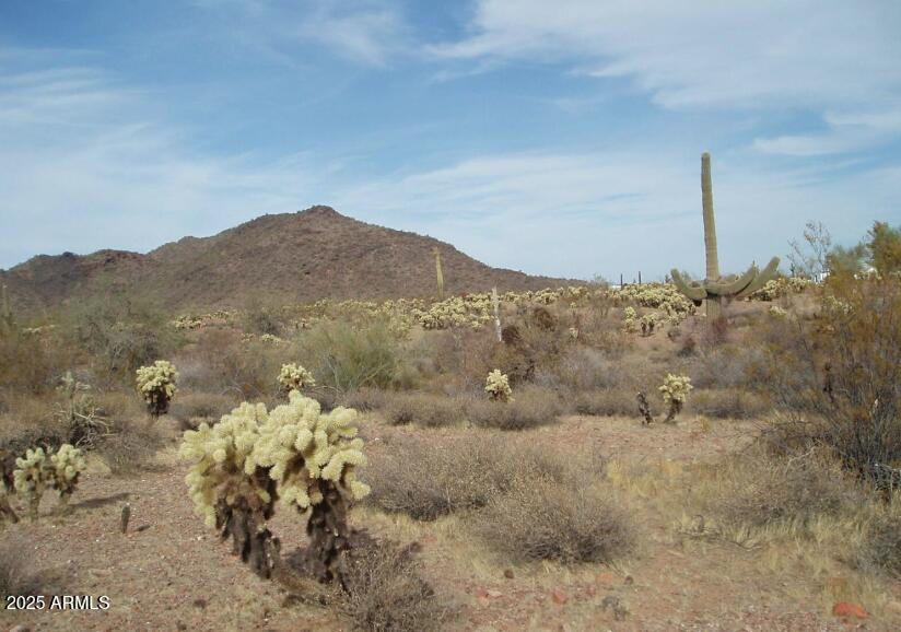 29980 West Restin Road, Unit 146 Wittmann, AZ 85361 - Photo 1 of 6 a view of a sky view