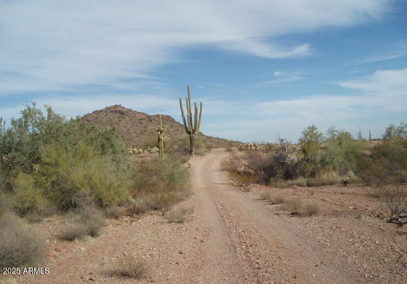 29980 West Restin Road, Unit 146 Wittmann, AZ 85361 - Photo 4 of 6 a view of a dry yard with mountains in the background