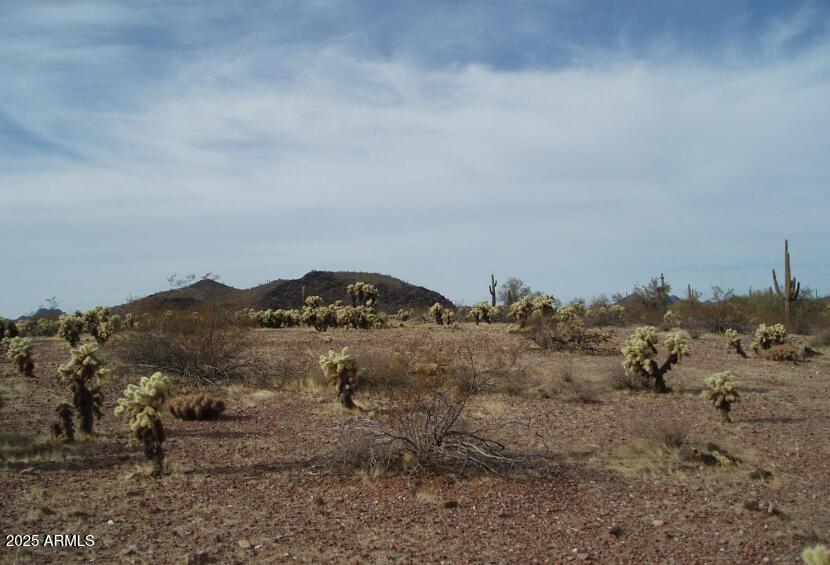 29980 West Restin Road, Unit 146 Wittmann, AZ 85361 - Photo 6 of 6 an aerial view of mountain with covered trees