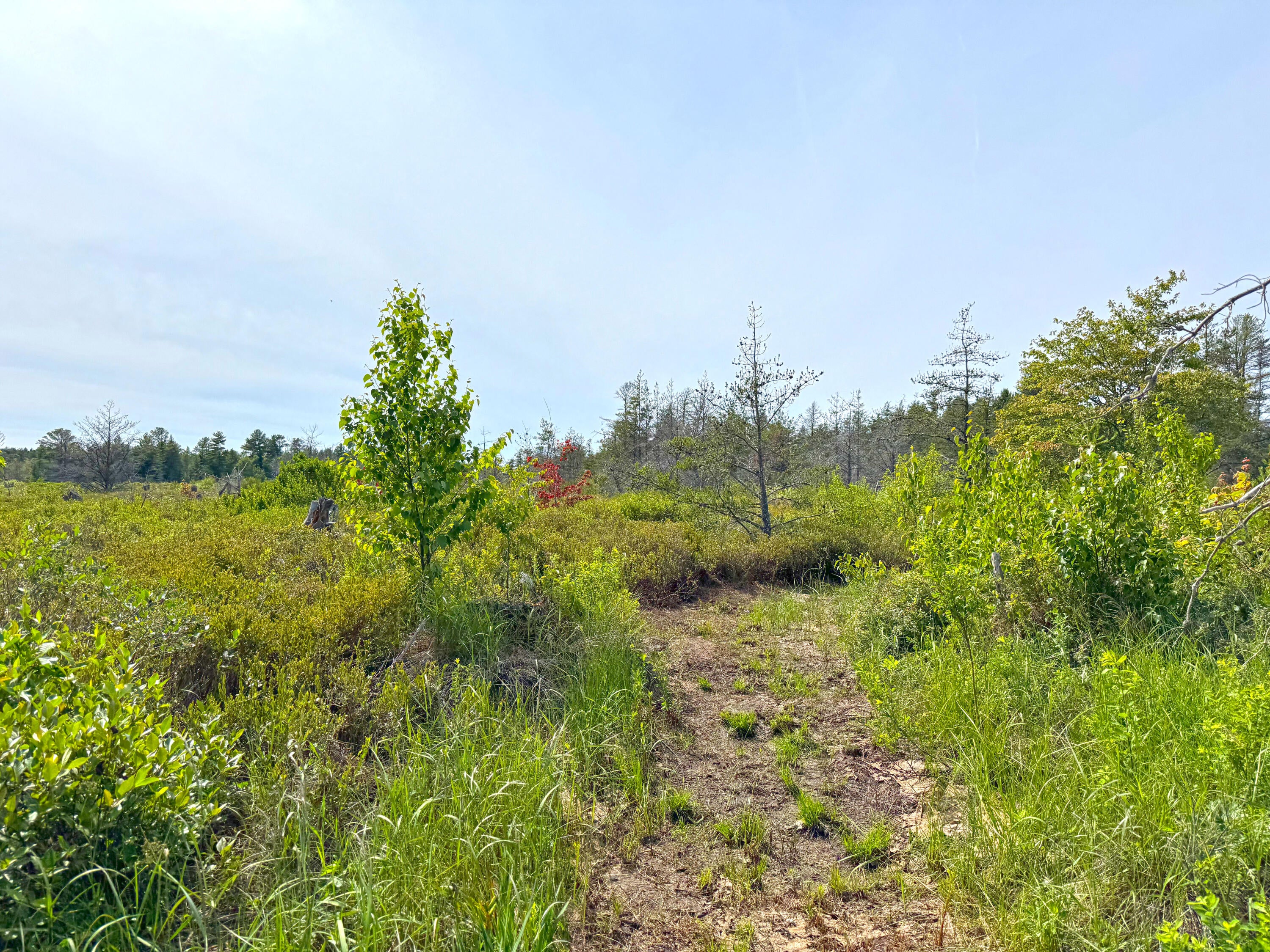 31005 West Wild Cat Road Paradise, MI 49768 - Photo 36 of 90 Gallery Image 36