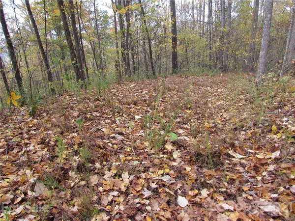 $60,200 | 20 Red Wolf Run, Unit NONE, Mars Hill, NC 28754