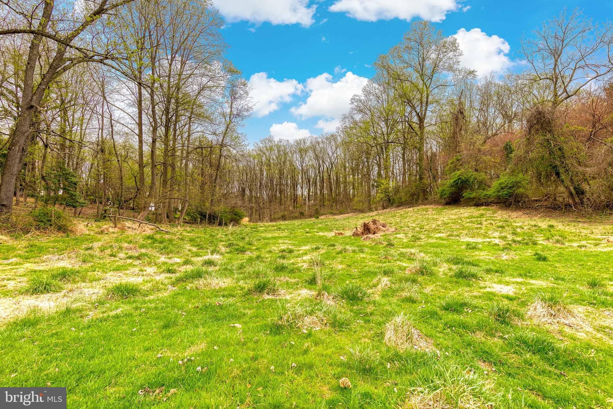 11823 Manor Road Glen Arm, MD 21057 - Photo 48 of 54 Gallery Image 48