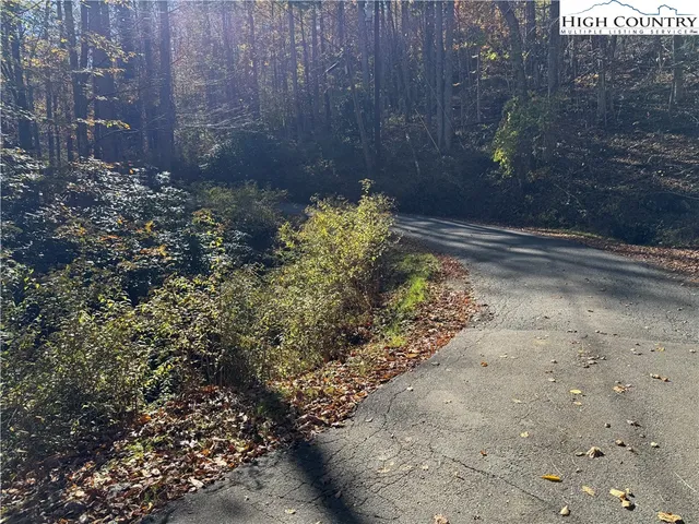 a view of a pathway with a yard