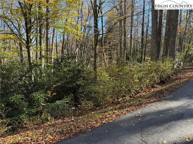 a view of backyard with pathway