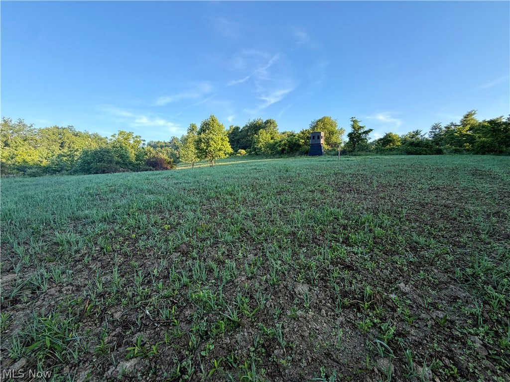 Sykes Ridge Road Clarington, OH 43915 - Photo 34 of 42