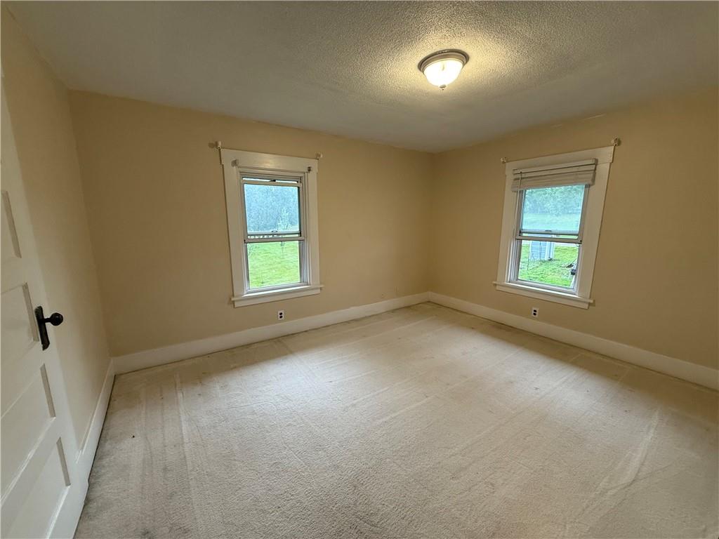 107 Bayard Avenue Rices Landing, PA 15357 - Photo 25 of 30 Gallery Image 25