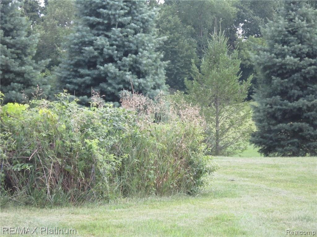 0 Buno Road Milford, MI 48380 - Photo 2 of 12 IMG_1171.JPG