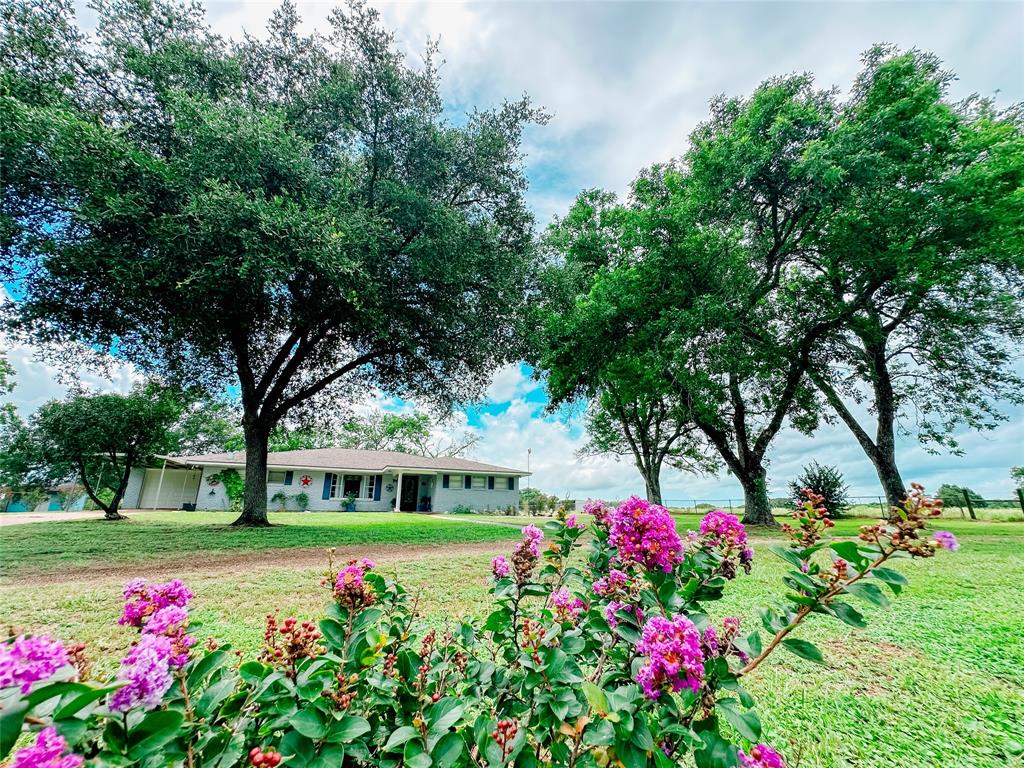 1252 Farm To Market 2437  