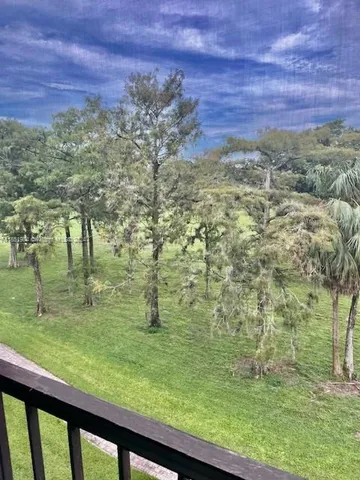 a view of an ocean from a yard