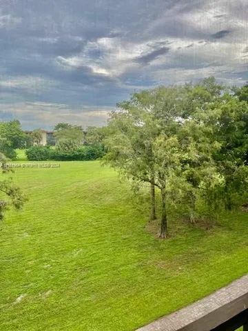 a view of yard from a window