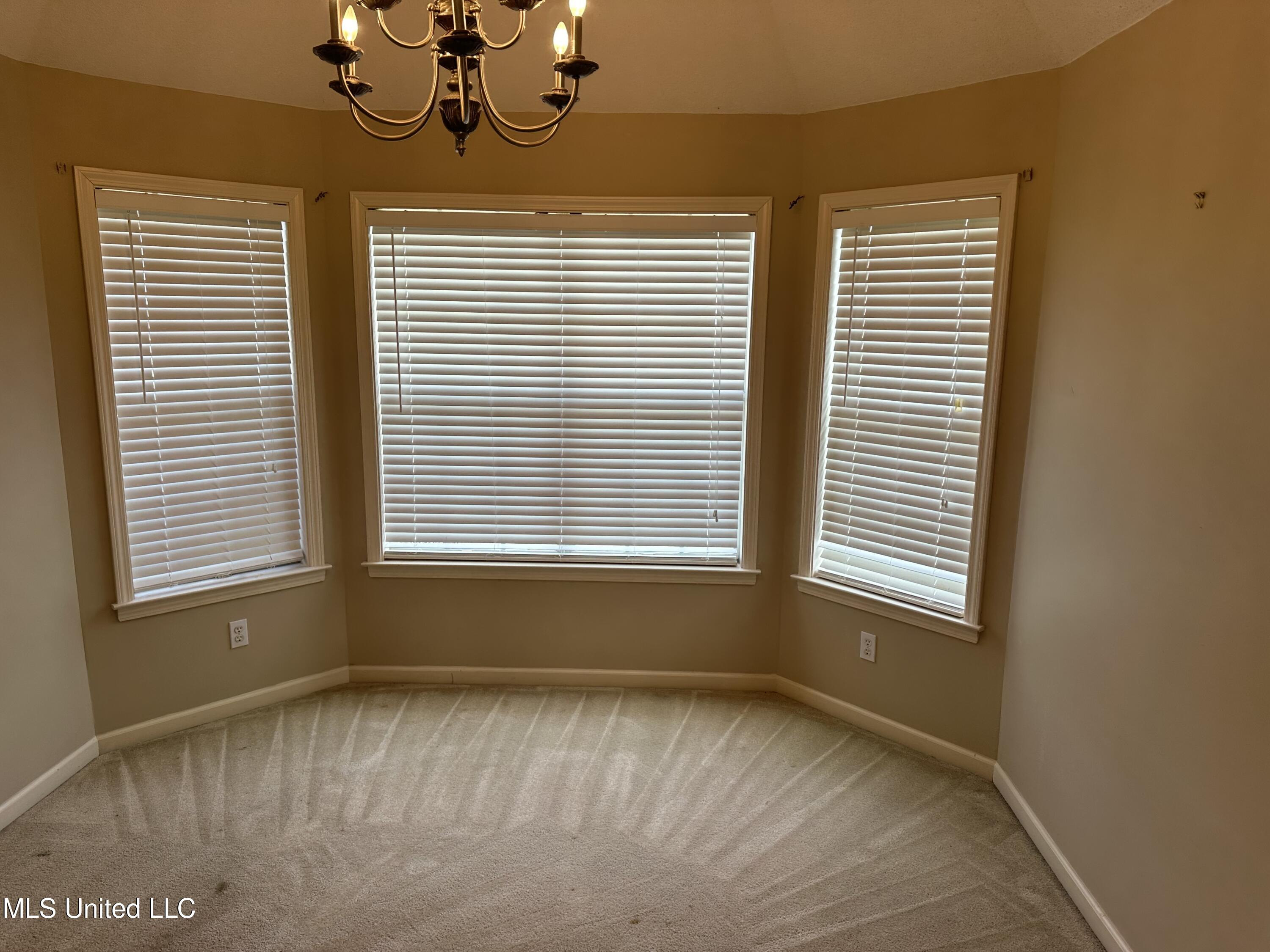 7831 Plantation Ridge Cove Olive Branch, MS 38654 - Photo 7 of 13 IMG_2346