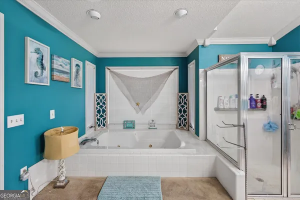 a bathroom with a bathtub and a shower
