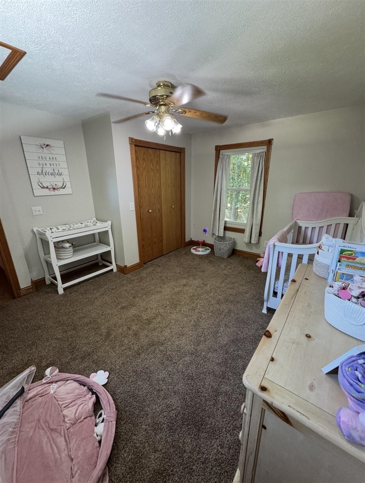 9462 East Colby Road Crystal, MI 48818 - Photo 34 of 51