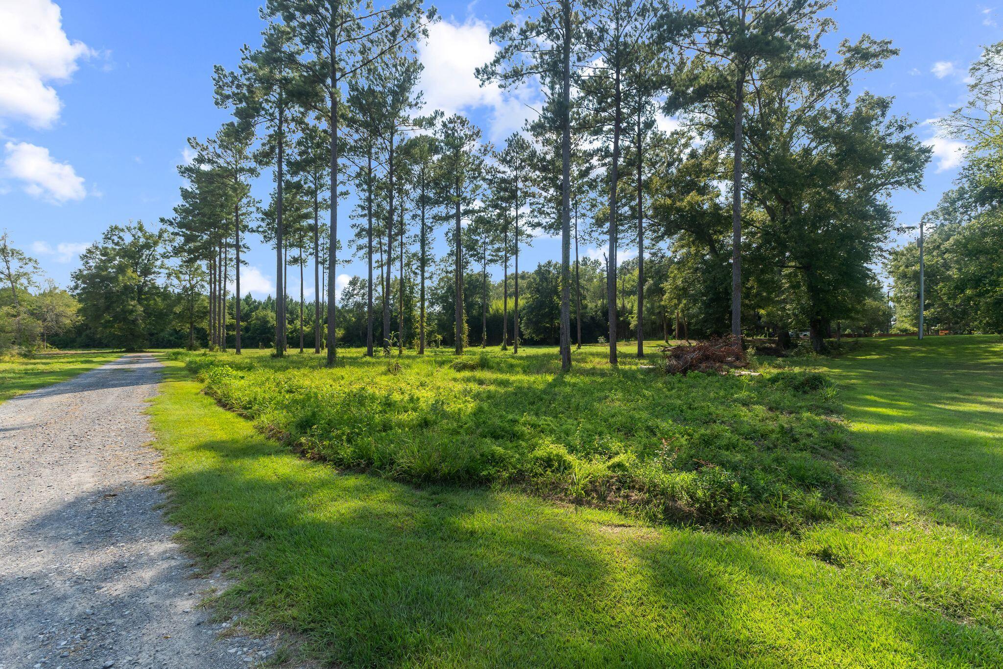 103 Slade Carlisle Road Columbia, MS 39429 - Photo 63 of 65 Gallery Image 63