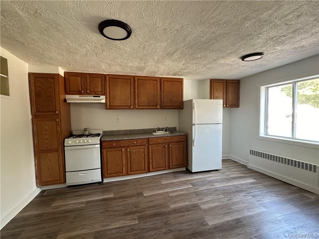 1399 State Rte 55, Unit 11 Clintondale, NY 12515 - Photo 4 of 21 Kitchen with sink, radiator heating unit, white appliances, a textured ceiling, and dark wood-type flooring