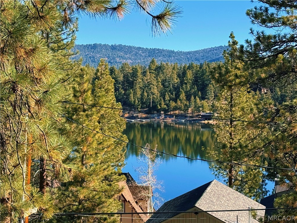 789 Rueda Lane Big Bear Lake, CA 92315 - Photo 7 of 38