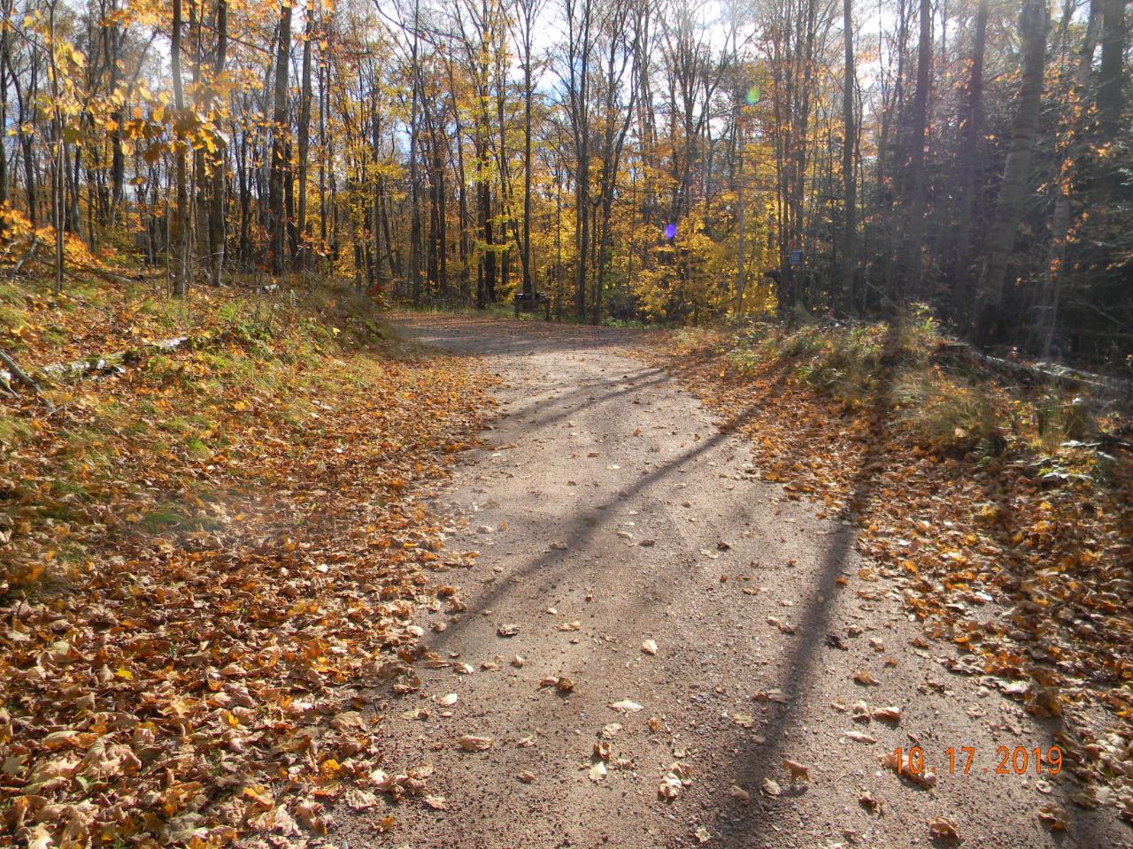 On Black Oak Road, Unit LOT 2 Deerbrook, WI 54424 - Photo 11 of 15 Gallery Image 11