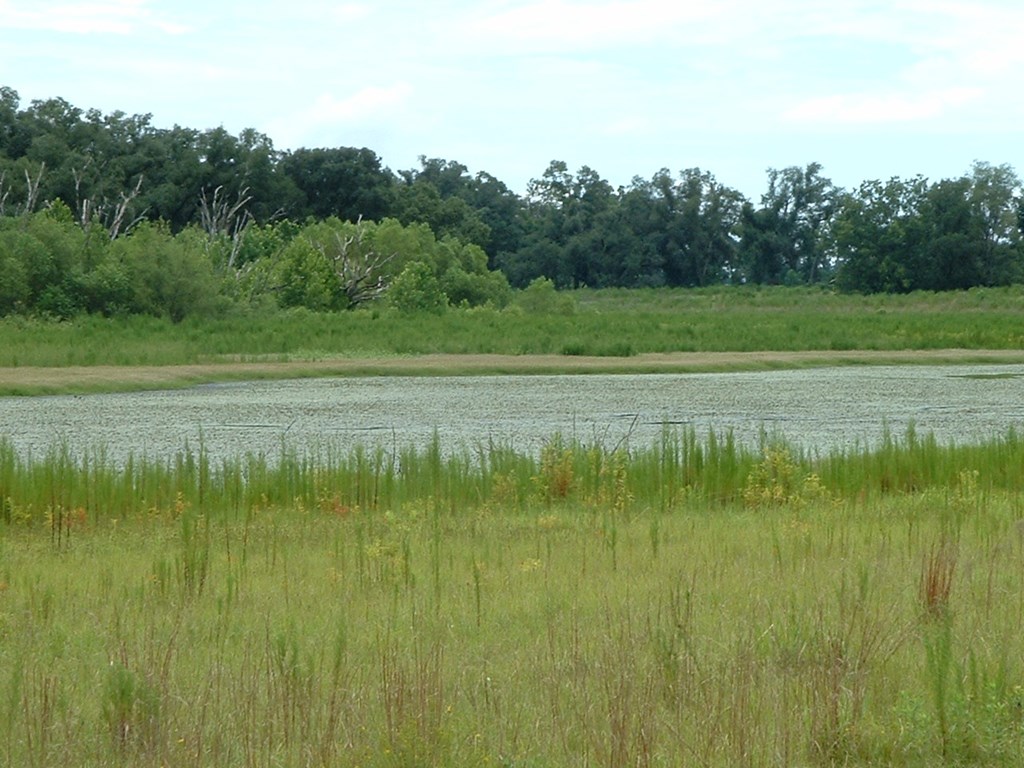 1 Klondike Road Bascom, FL 32423 - Photo 2 of 16