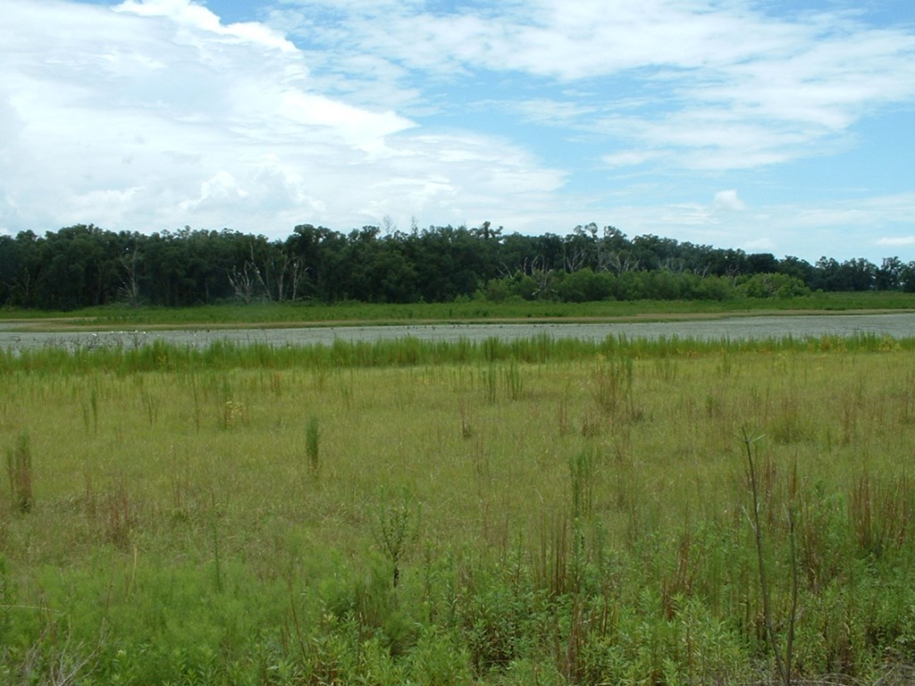 1 Klondike Road Bascom, FL 32423 - Photo 5 of 16