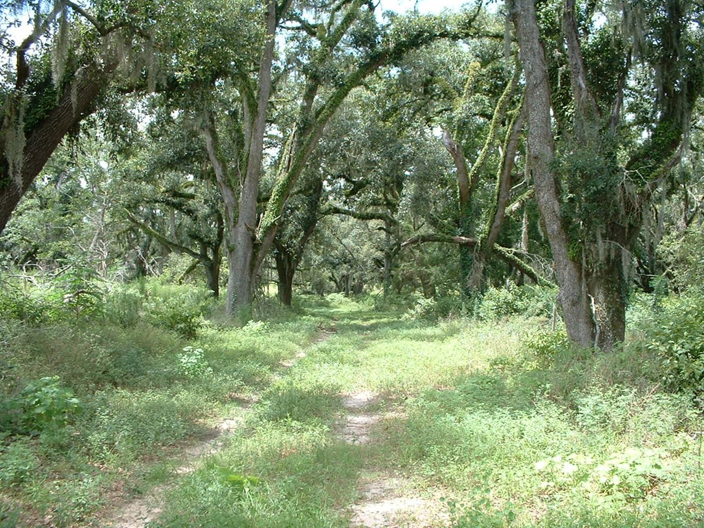 1 Klondike Road Bascom, FL 32423 - Photo 6 of 16