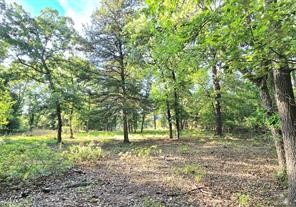 0 Timber Ridge Larue, TX 75770 - Photo 16 of 25