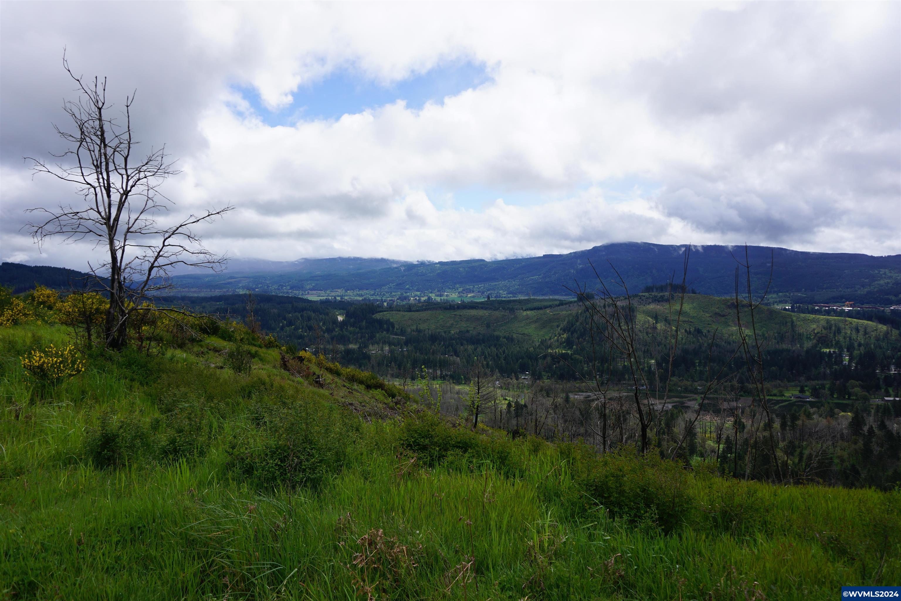 900 Wagner Road Lyons, OR 97358 - Photo 29 of 30