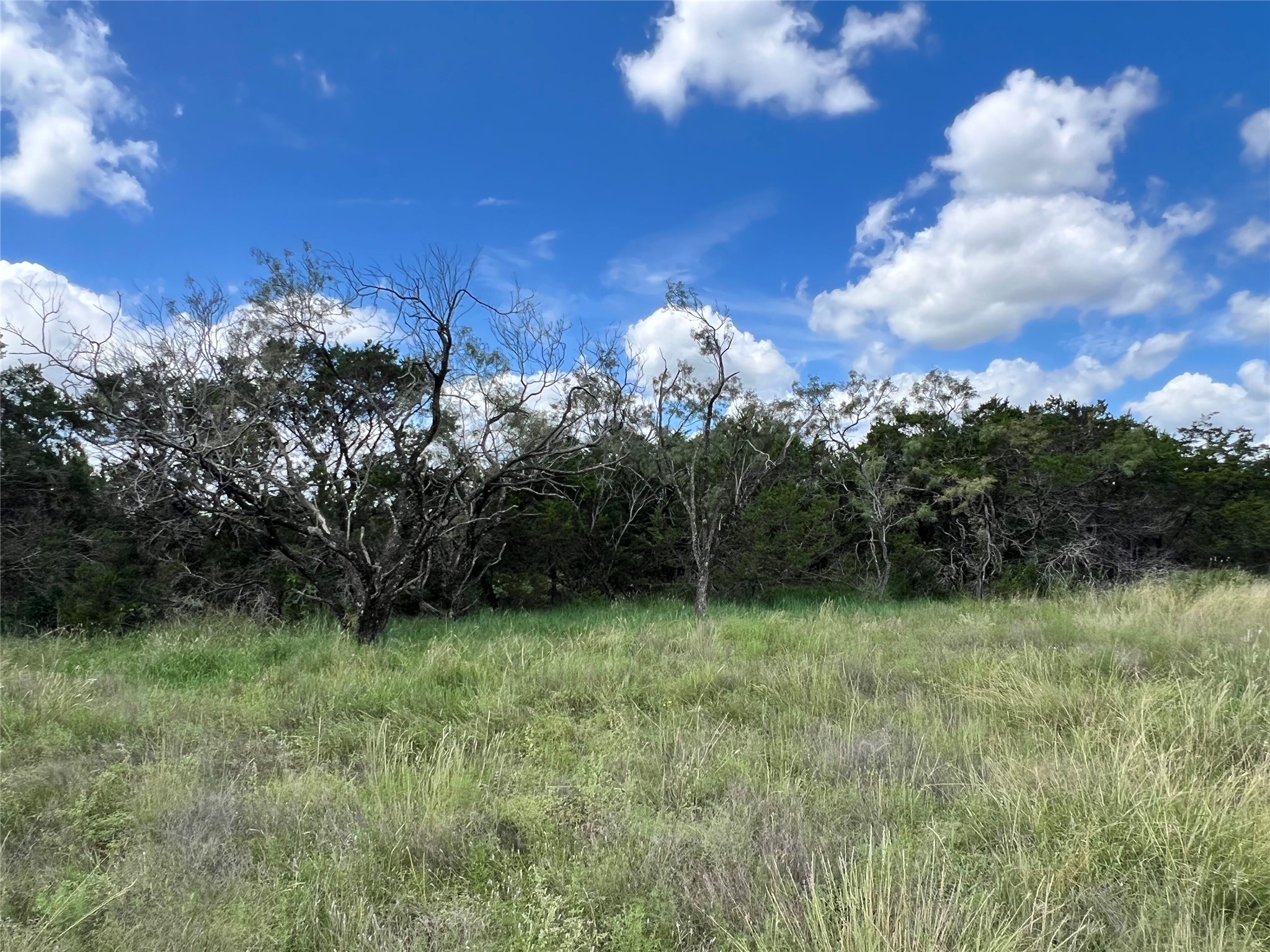 2452 Stone Creek Ranch Drive Evant, TX 76525 - Photo 11 of 19 a view of a green yard