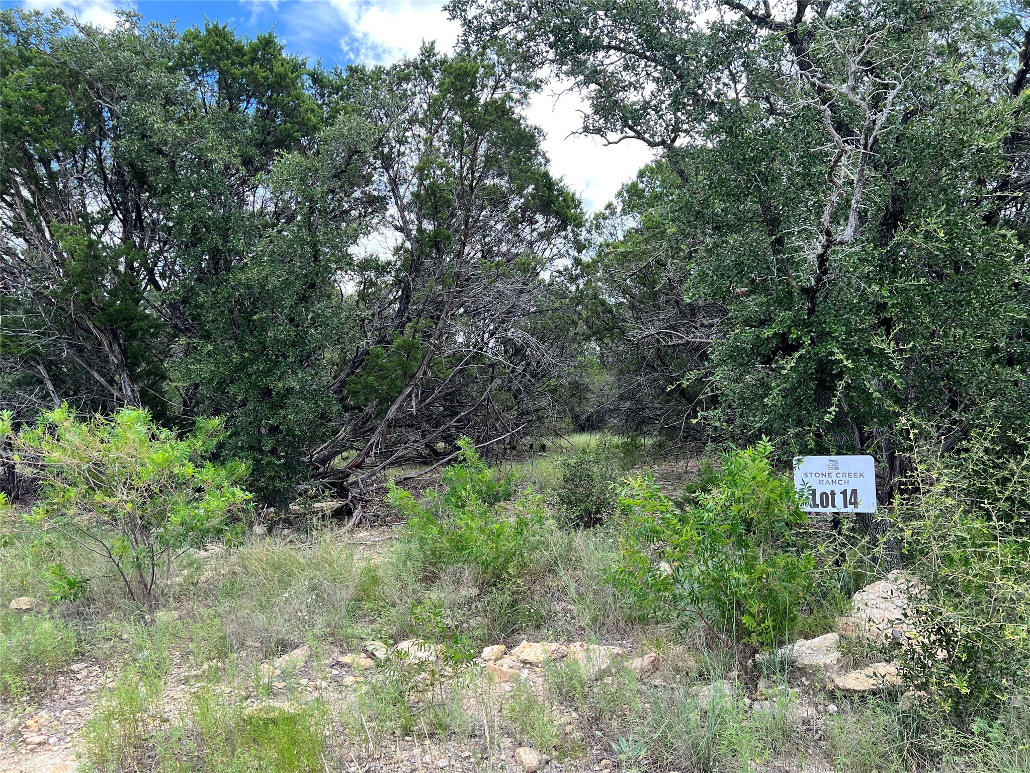 2452 Stone Creek Ranch Drive Evant, TX 76525 - Photo 13 of 19 a view of a lush green forest with trees and bushes