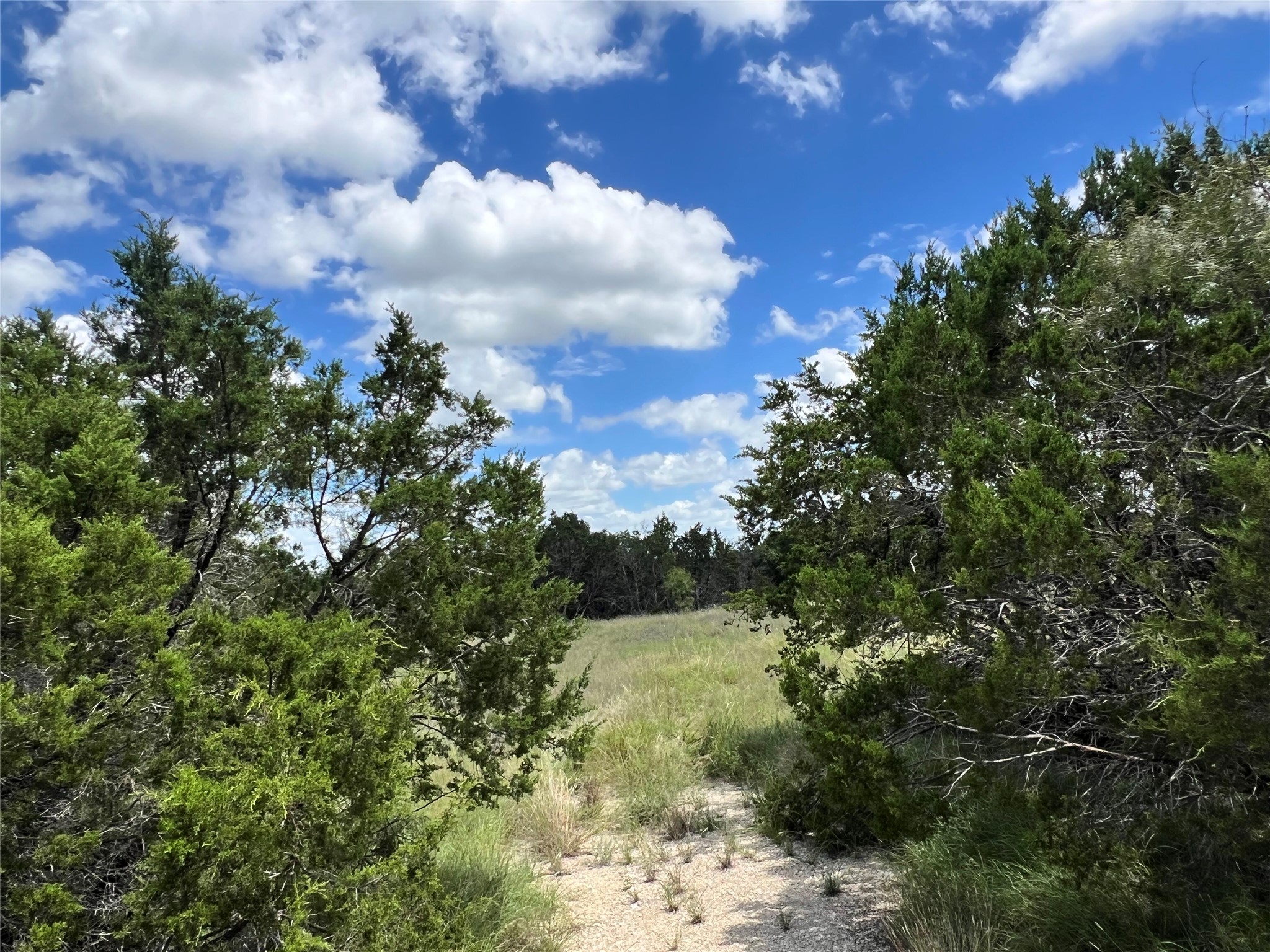 2452 Stone Creek Ranch Drive Evant, TX 76525 - Photo 4 of 19 a view of a lake with a tree in the background