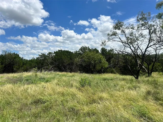 a view of a yard with a tree