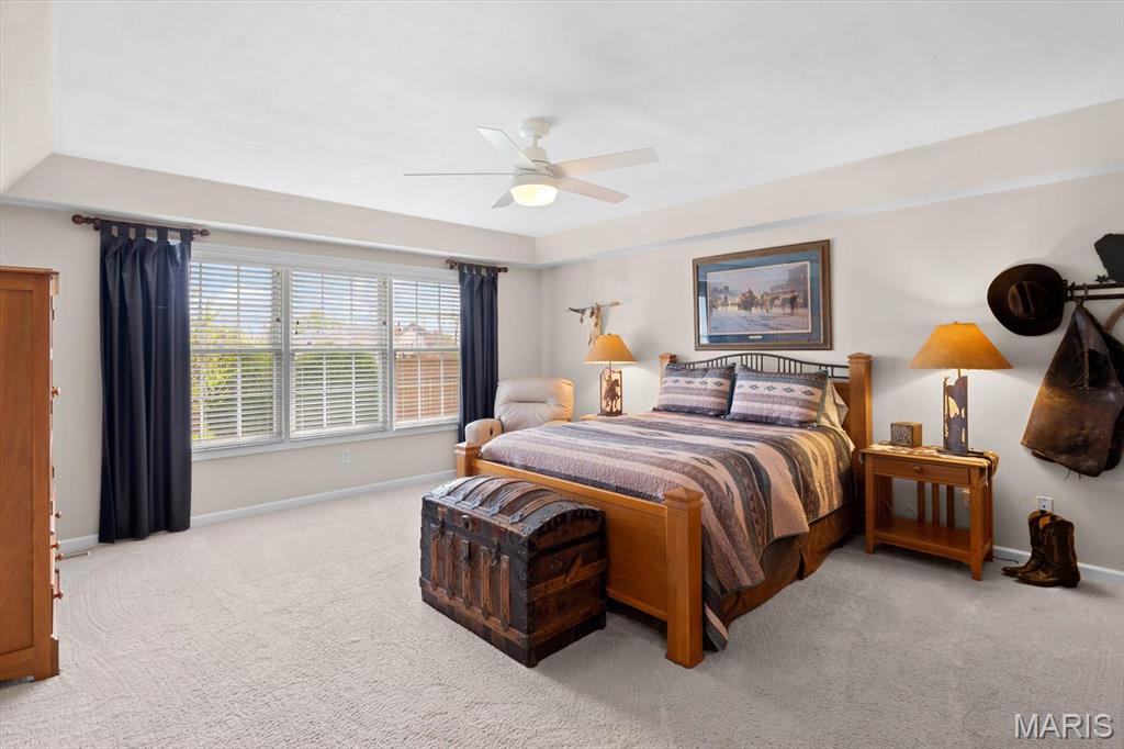 108 Calypso Drive Belleville, IL 62221 - Photo 23 of 59