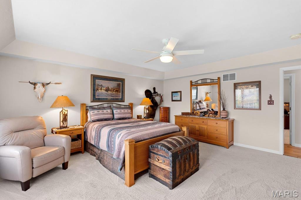 108 Calypso Drive Belleville, IL 62221 - Photo 24 of 59