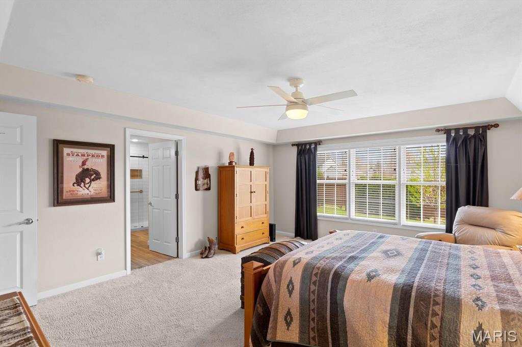 108 Calypso Drive Belleville, IL 62221 - Photo 26 of 59