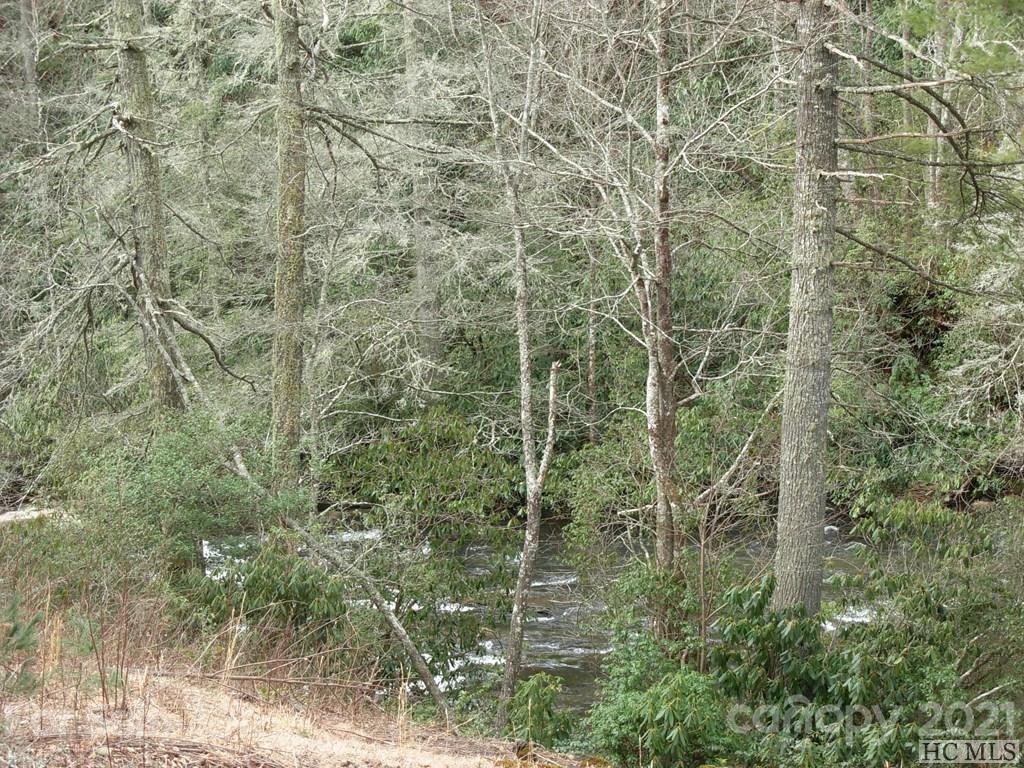 8 Turkey Roost Road, Unit 8 Sapphire, NC 28774 - Photo 1 of 3 Gallery Image 1