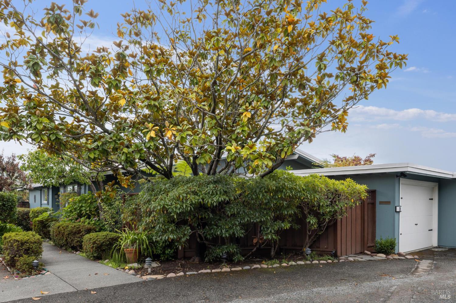 a view of a house with a tree