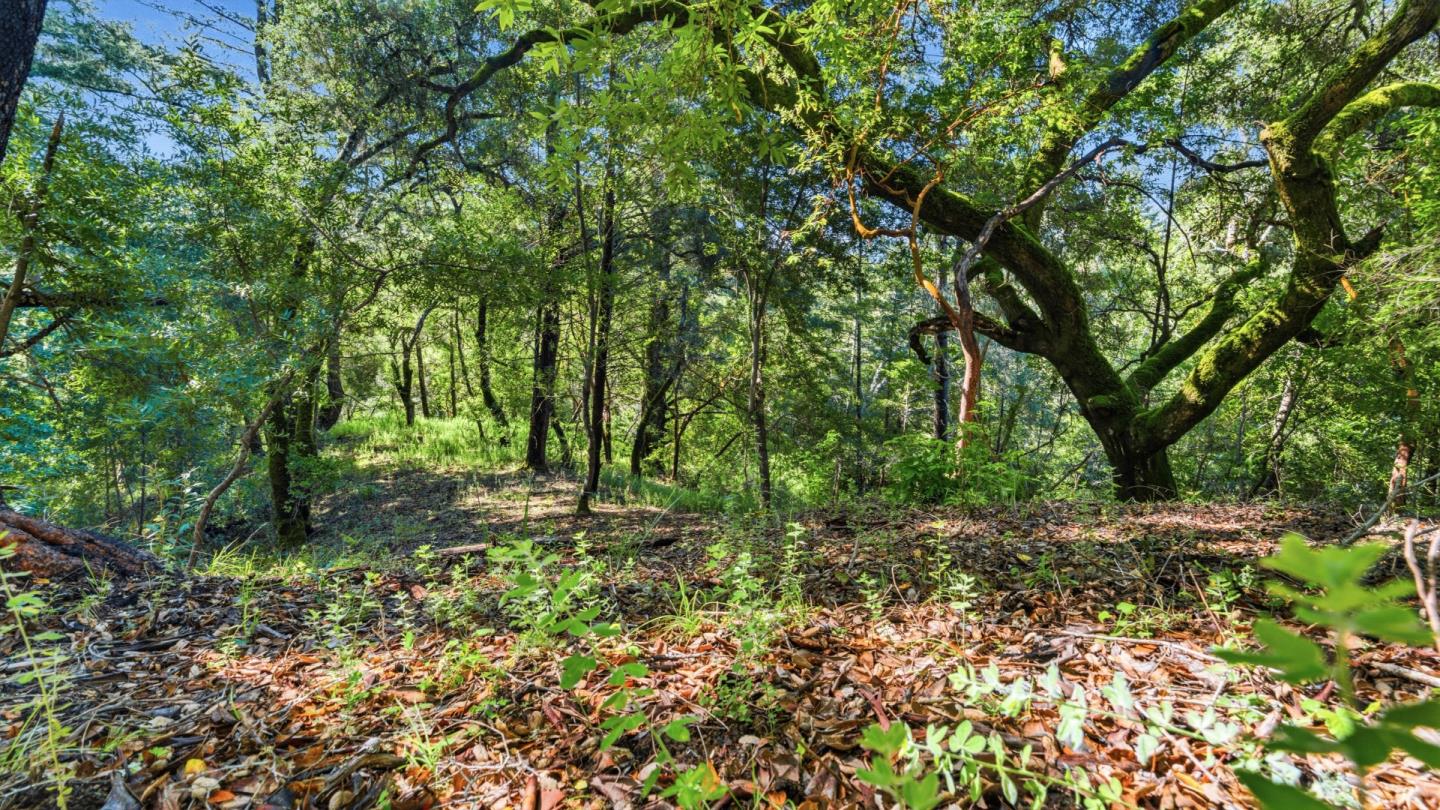 360 Rincon Way Boulder Creek, CA 95006 - Photo 25 of 46