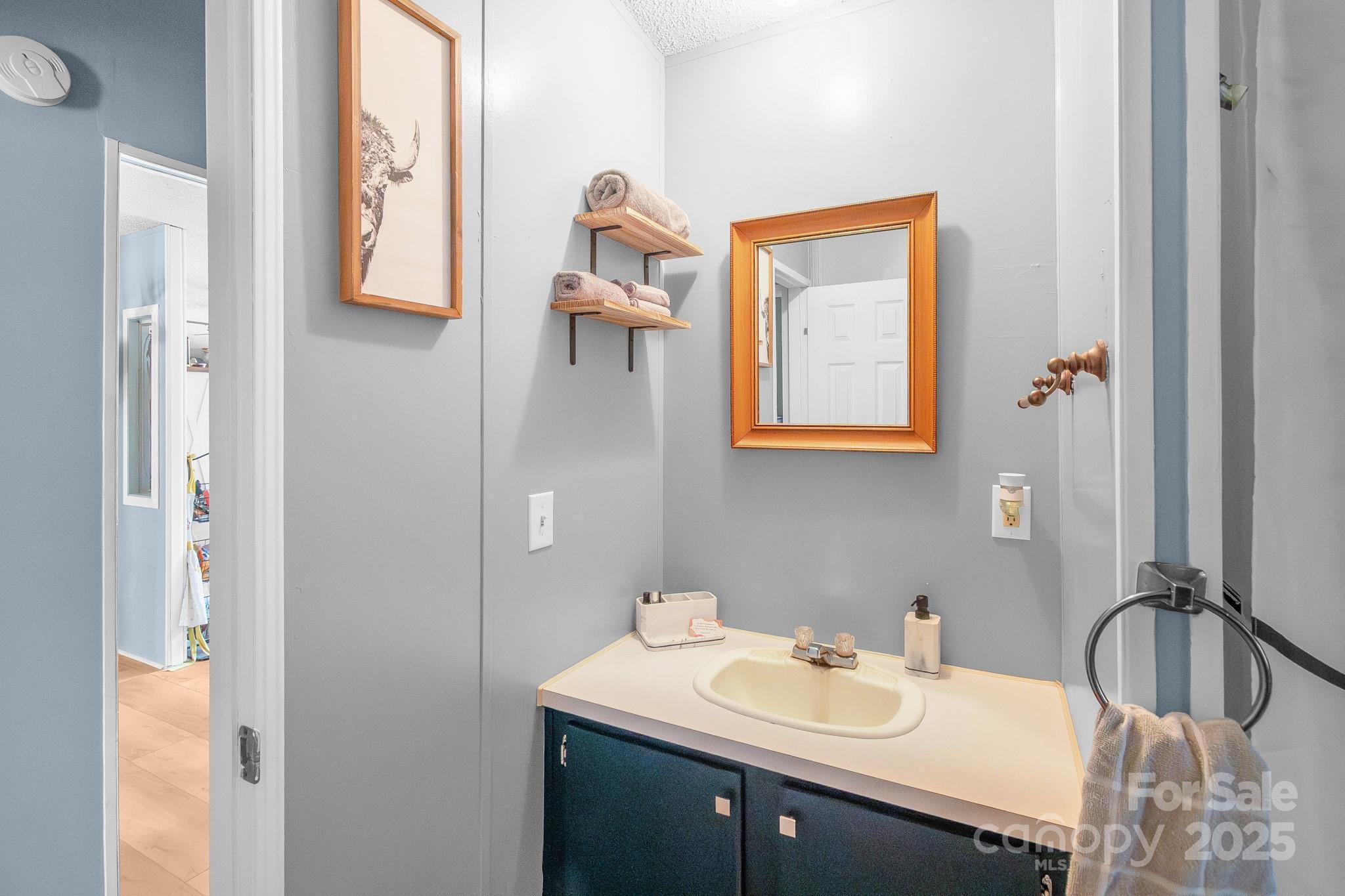 2214 Sojourn Road Marshville, NC 28103 - Photo 28 of 48 a bathroom with a sink and a mirror
