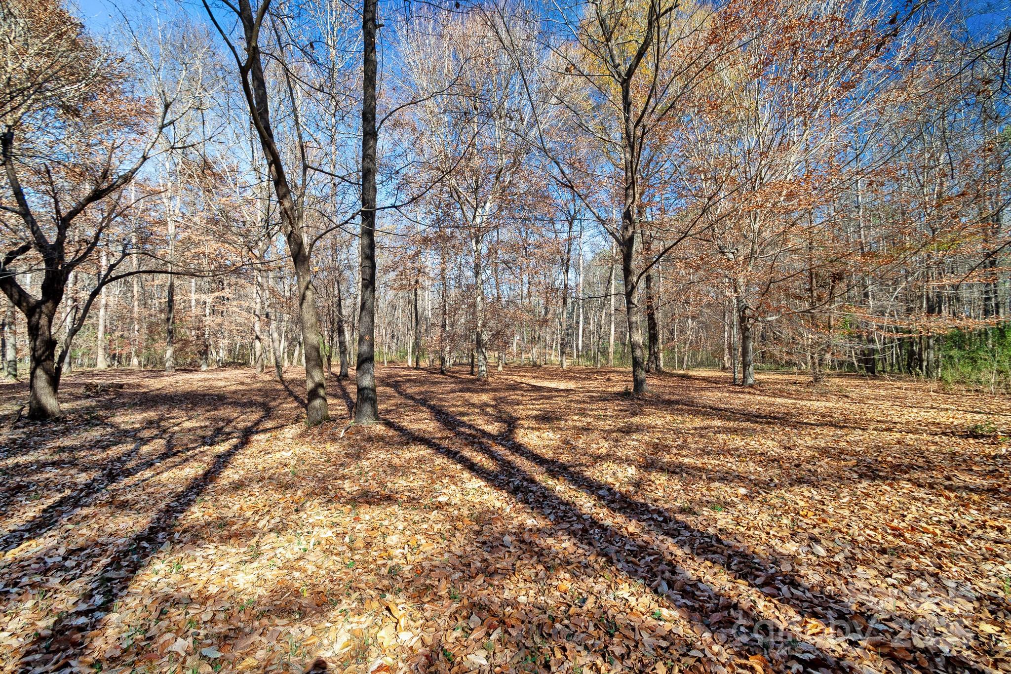 2214 Sojourn Road Marshville, NC 28103 - Photo 43 of 48 a view of a yard with trees