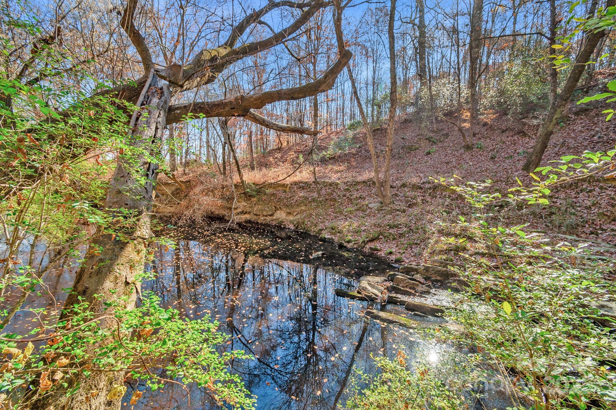 2214 Sojourn Road Marshville, NC 28103 - Photo 44 of 48 a backyard of a house with lots of green space