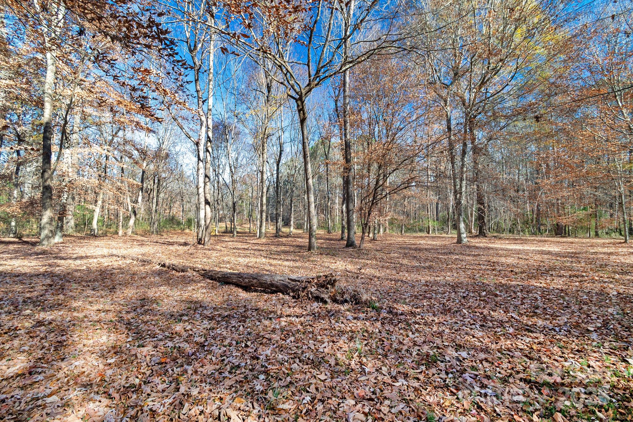 2214 Sojourn Road Marshville, NC 28103 - Photo 45 of 48 a view of dirt yard with a house