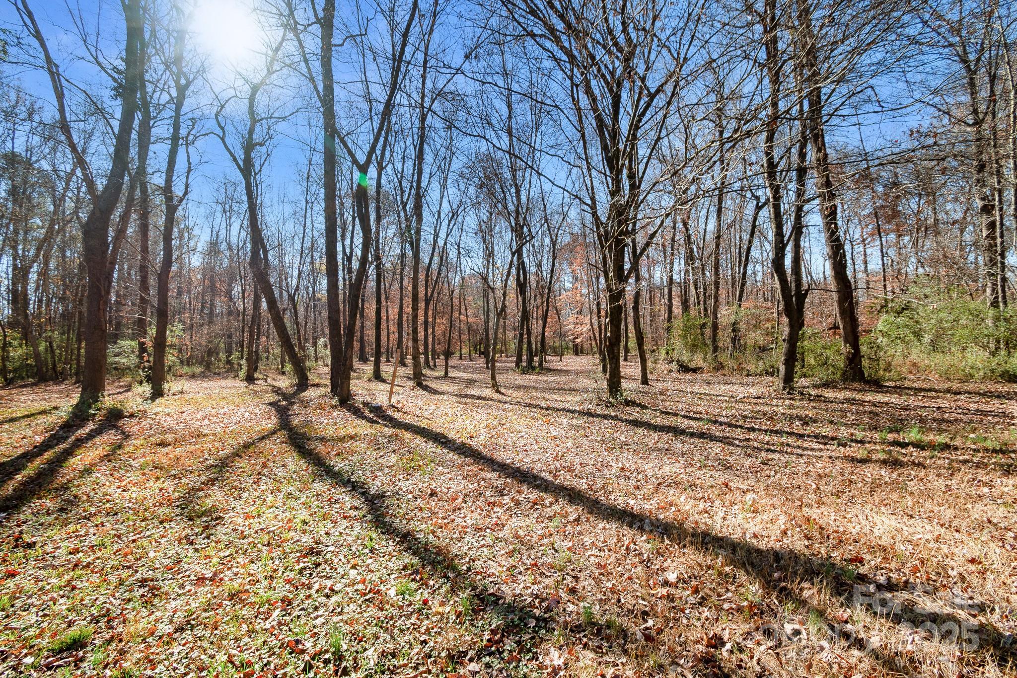 2214 Sojourn Road Marshville, NC 28103 - Photo 46 of 48 a view of a backyard with snow