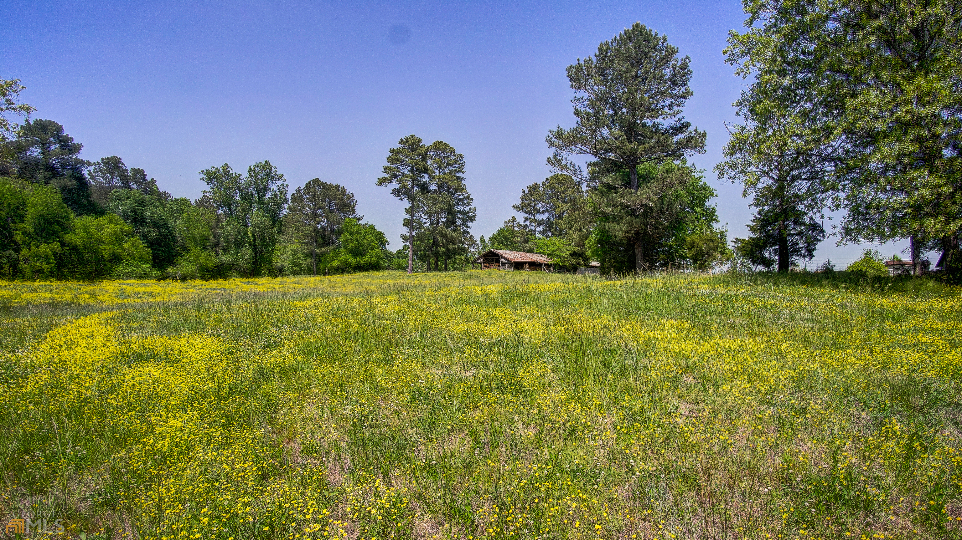 a view of a yard with a house in the background