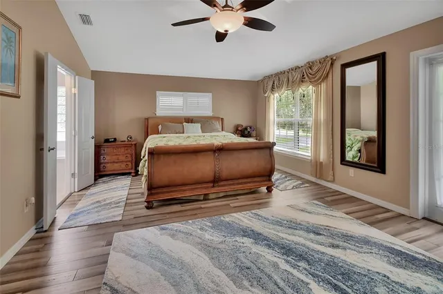 a view of a park with large trees