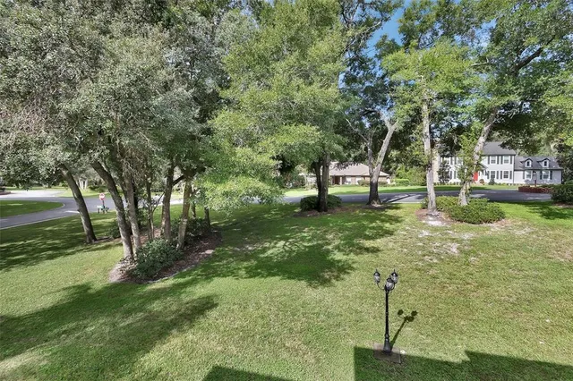 a view of a park with large trees