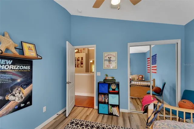 a view of a park with large trees