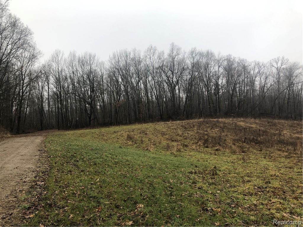 Parcel 12 Elevation Lane Howell, MI 48855 - Photo 2 of 11