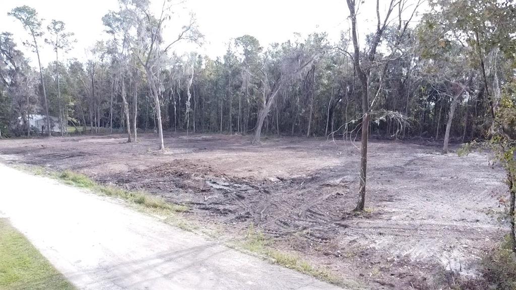 0 Southwest 133rd Ave Road Ocala, FL 34481 - Photo 1 of 1 a backyard of a house