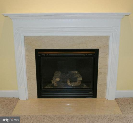 5002 Fawn Grove Road Pylesville, MD 21132 - Photo 6 of 26 Fireplace