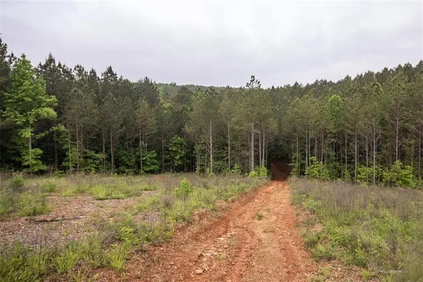 $649,500 | 0 Hidden Creek Road, Jasper, GA 30143